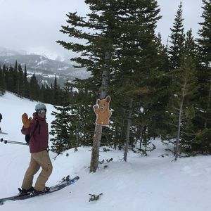 Meet your Posher, Ben